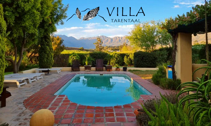 Cape Town Best Sellers